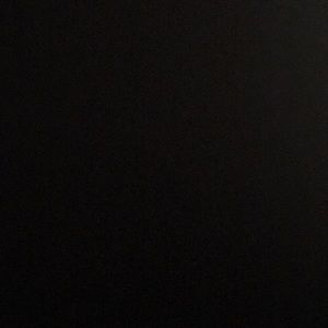 Meet your Posher, Shelby